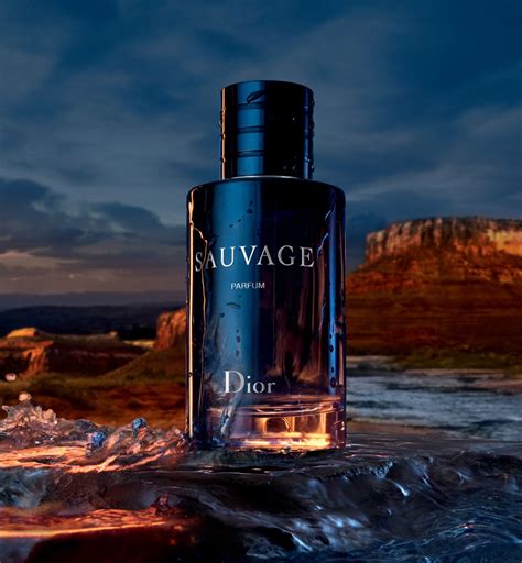 dior sauvage loris|sauvage by Dior cologne.